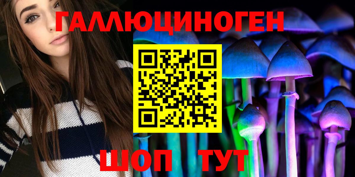 Карасук  Галлюциногенные грибы мицелий  купить наркотик  Вход с VPN  Псилоцибиновые грибы Psilocybe 